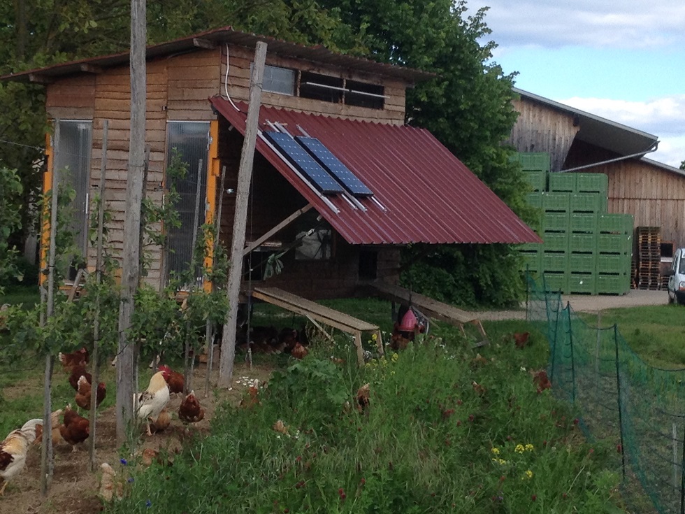 Hühnerhotel auf dem Südhof